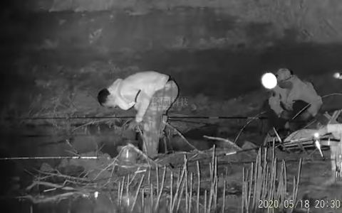 奥尔法数码夜视仪效果展示