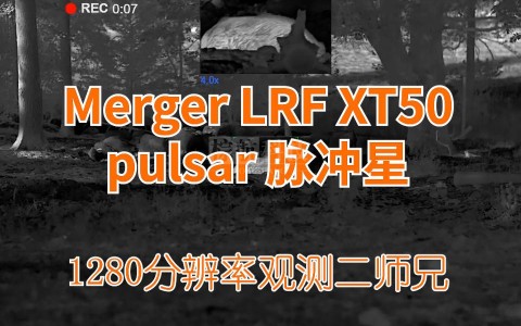 脉冲星pulsar Merger LRF XT50 热成像双筒望远镜夜视仪1280分辨率的天花板