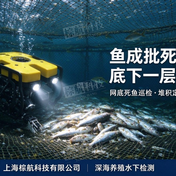 水下机器人狭窄空间检测-ROV 管道涵洞桥墩夹缝检查-提供方案