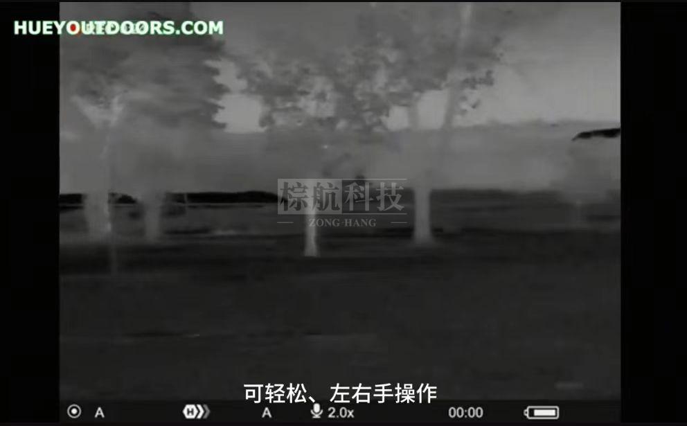左右手.jpg