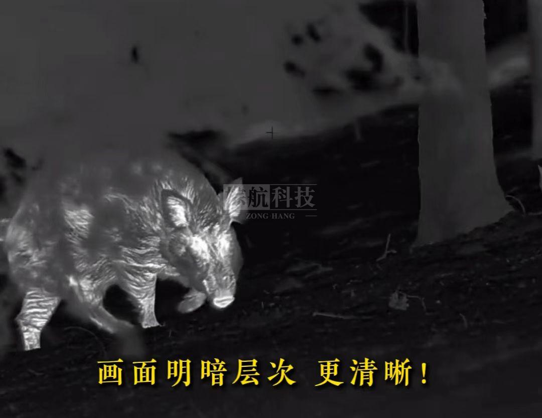 画面层次3.jpg