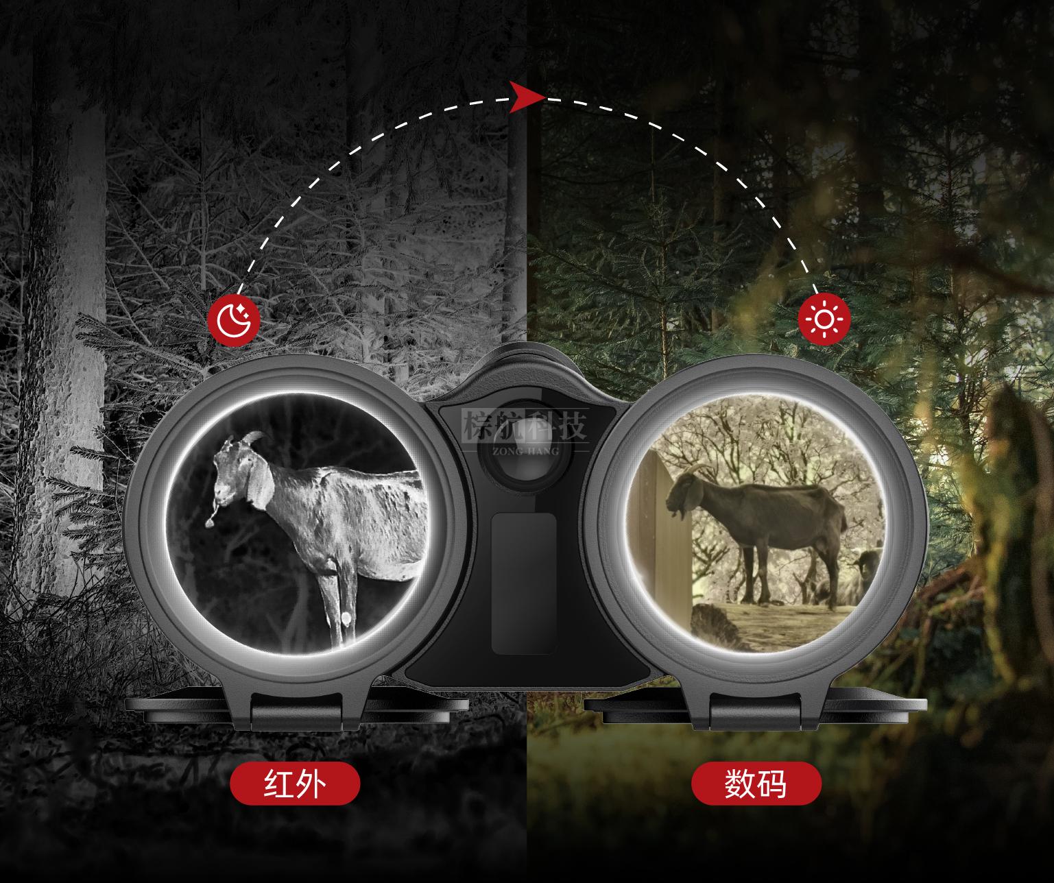 DM_20251210134327_006.jpg DM_20251210134327_006.jpg